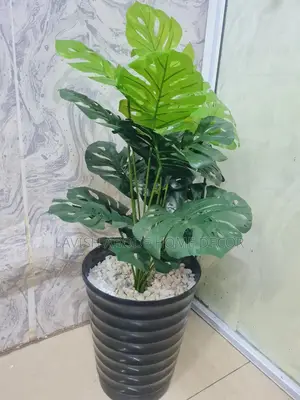 Monstera Artificial Indoor and Outdoor Plant for Decor
