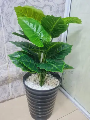 Artificial Arrow Leaf Plant Indoor and Outdoor House Office Plant