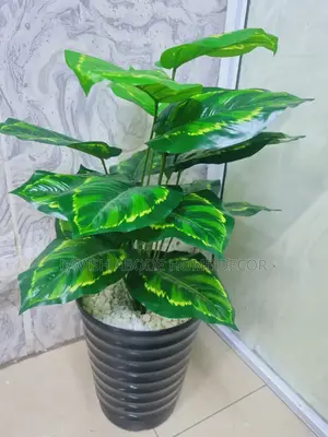 Artificial Green Plant Comes With Pot and Pebbles