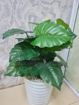 Artificial Indoor and Outdoor House Office Plant(Arrow)