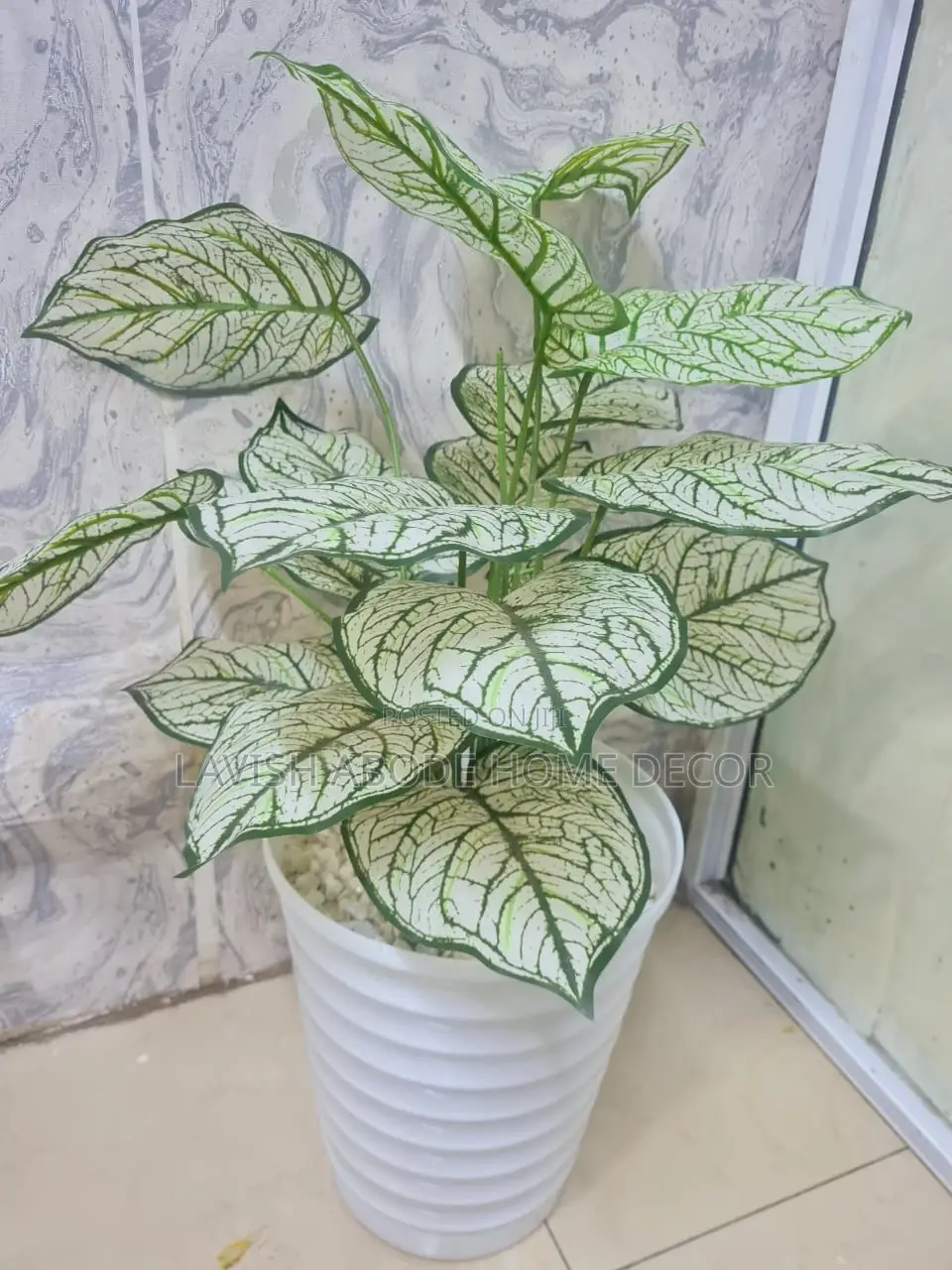 Artificial Indoor and Outdoor House Office Plant (Zebra)