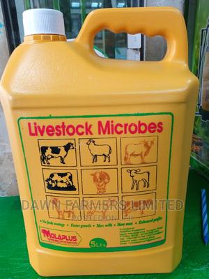 Molar Plus Microbes - main view