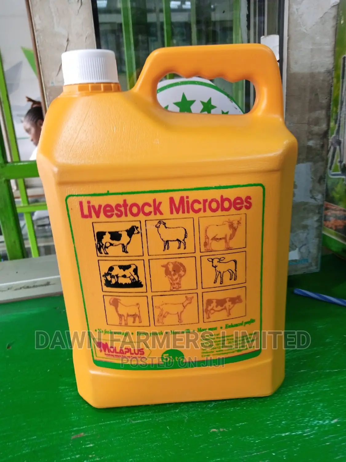 Molar Plus Microbes