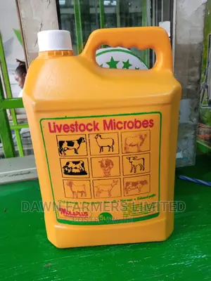 Molar Plus Microbes