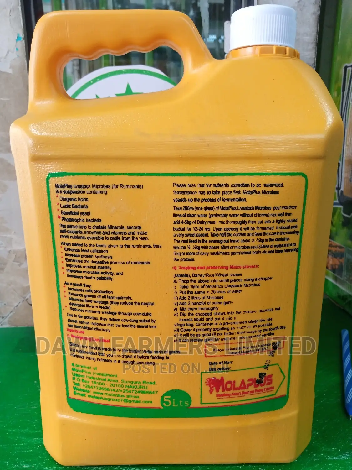 Molar Plus Microbes