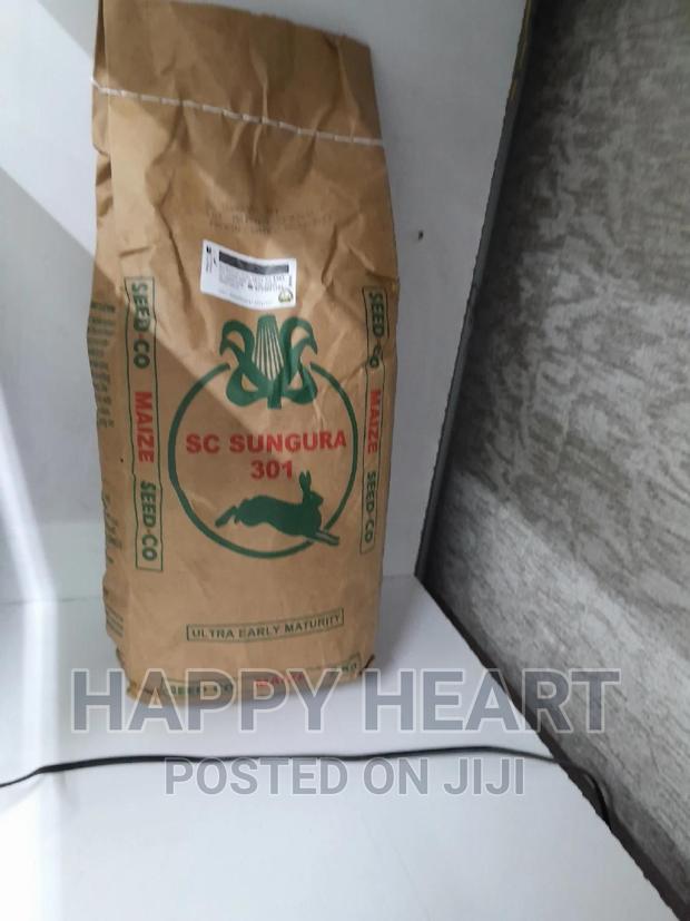 Sc Sungura 301 Hybrid Maize 2kg - thumbnail 3