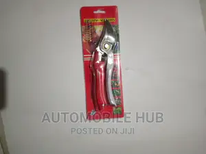 Prunning Scissors