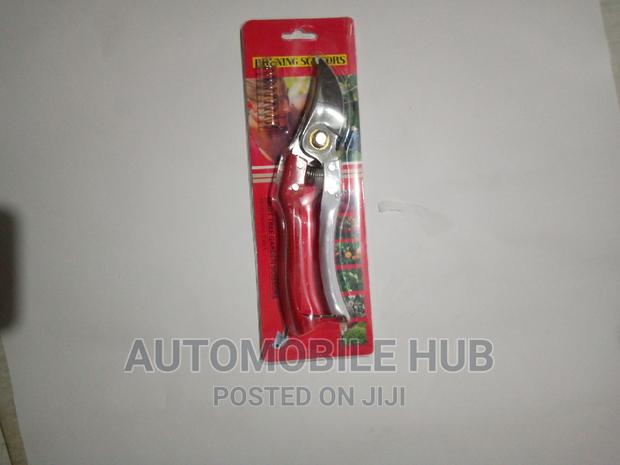 Prunning Scissors - main view