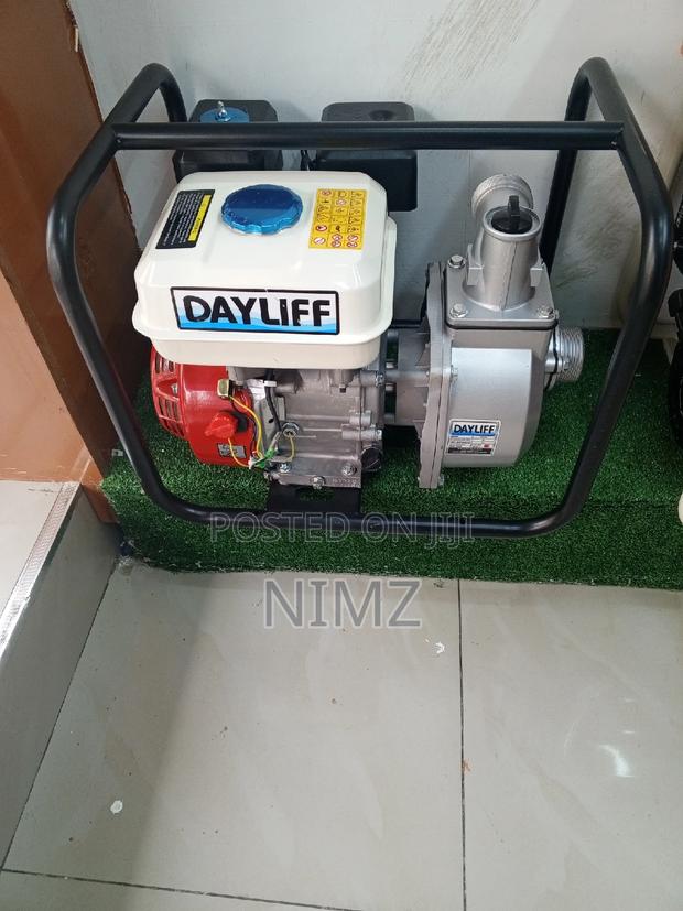 Dayliff Pump 2" - main view