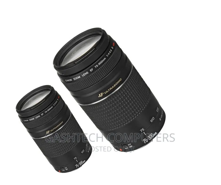 Canon EF 75-300mm^Canon EF 75-300mm F/4-5.6 III USM Lens