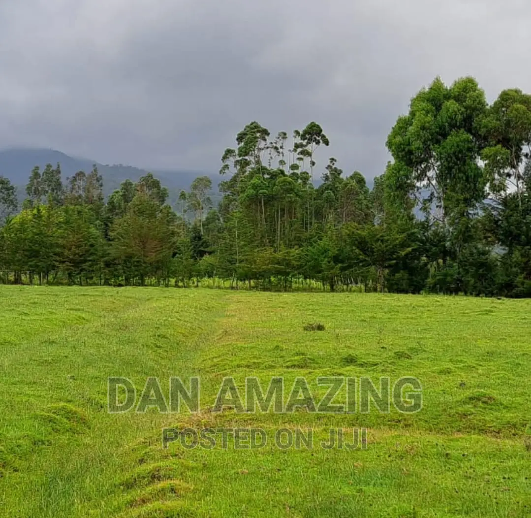 40 Acres Farmland for Sale in Nyandarua County in Rurii Commercial