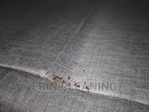 Bedbugs Infestation, Cockroaches,Sofa Cleaning