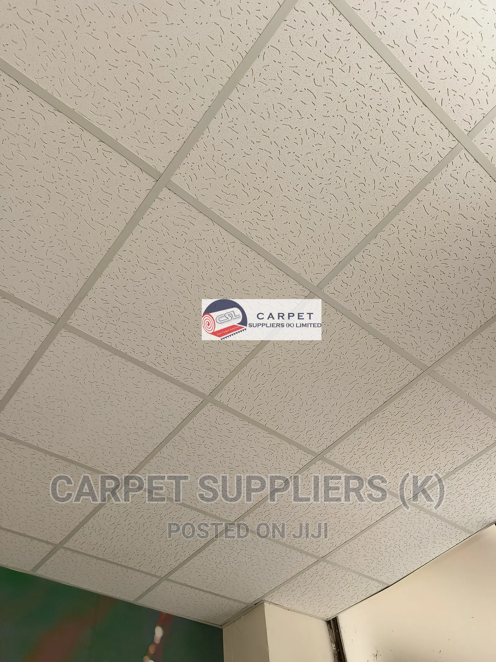 Acoustic Ceiling