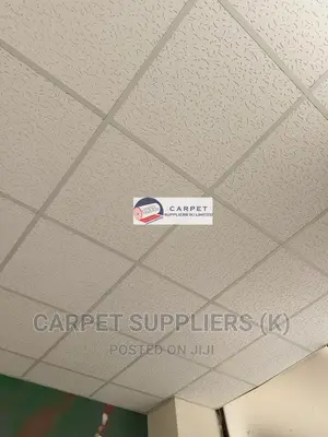 Acoustic Ceiling