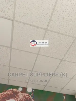 Acoustic Ceiling