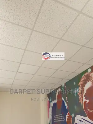 Acoustic Ceiling
