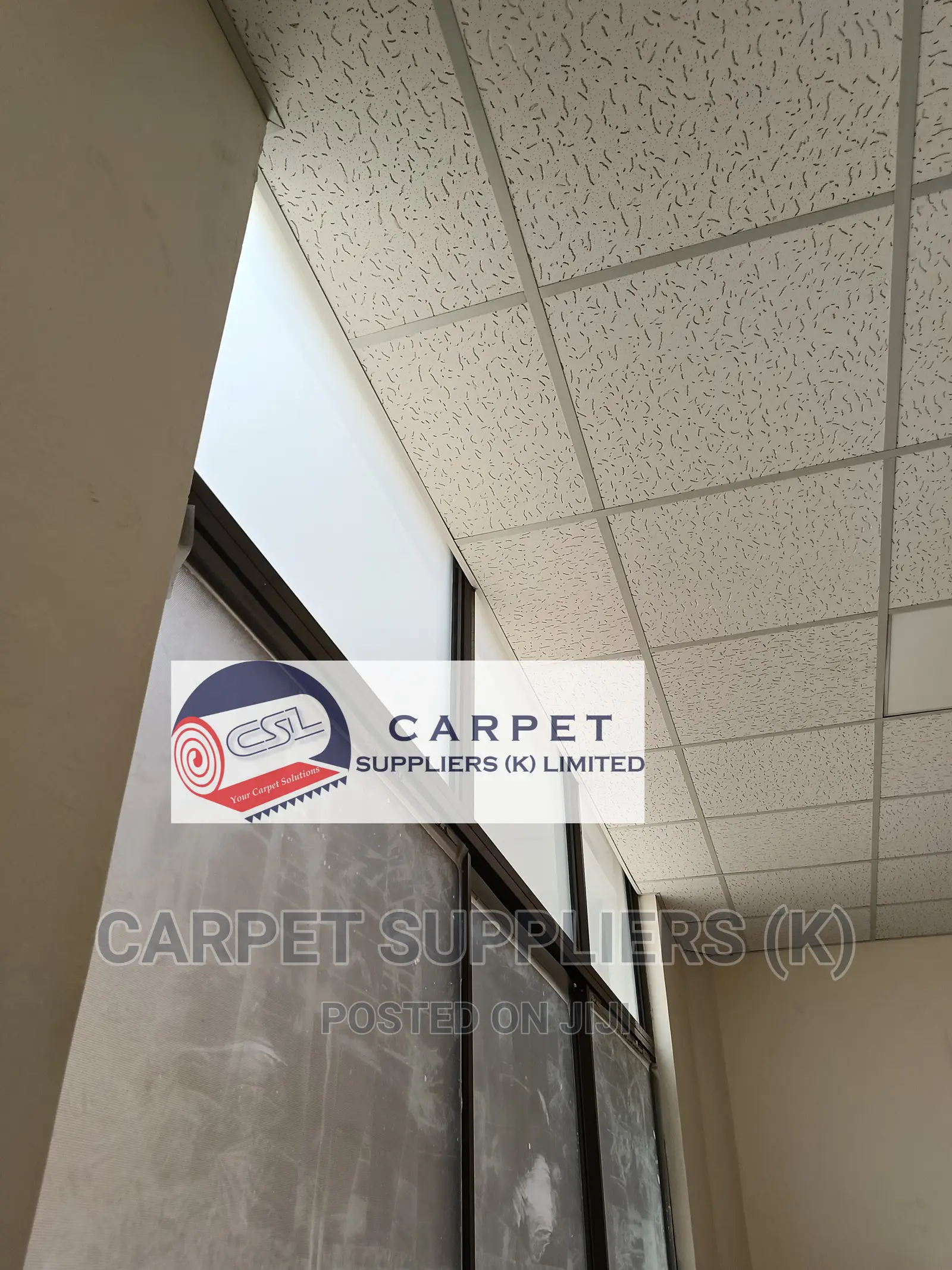 Acoustic Ceiling
