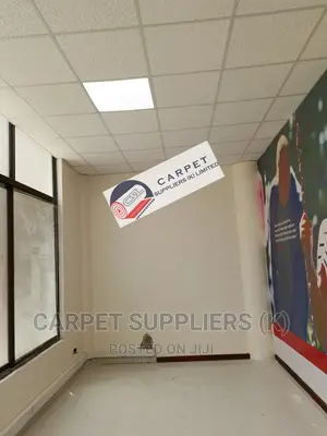 Acoustic Ceiling