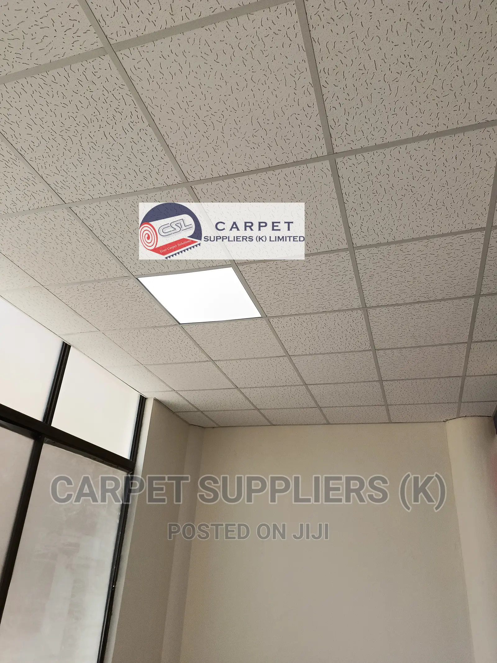 Acoustic Ceiling