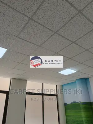 Acoustic Ceiling