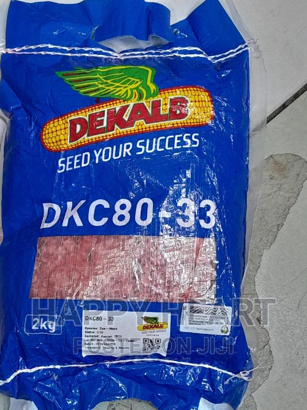 DKC 80-33 Dekalb Maize 2kg (DK 8033) - thumbnail 2