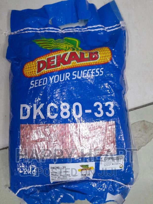 DKC 80-33 Dekalb Maize 2kg (DK 8033) - thumbnail 4