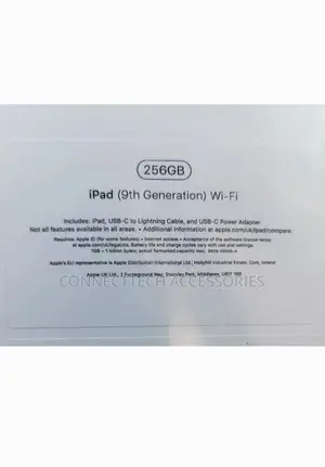 New Apple iPad 10.2 (2020) Wi-Fi 256 GB Gray