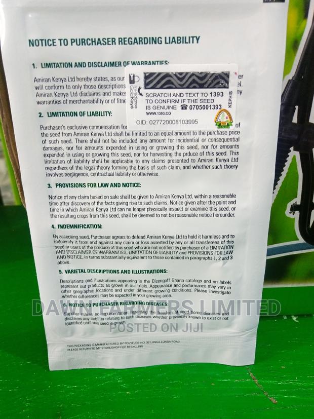 Lettuce Aviram 1000 Seeds Hybrid - thumbnail 2