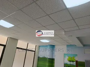 Acoustic Ceiling