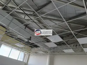 Acoustic Ceiling