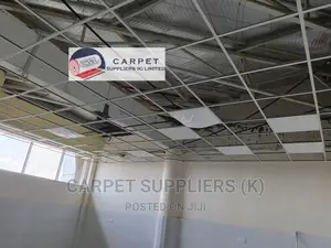 Acoustic Ceiling
