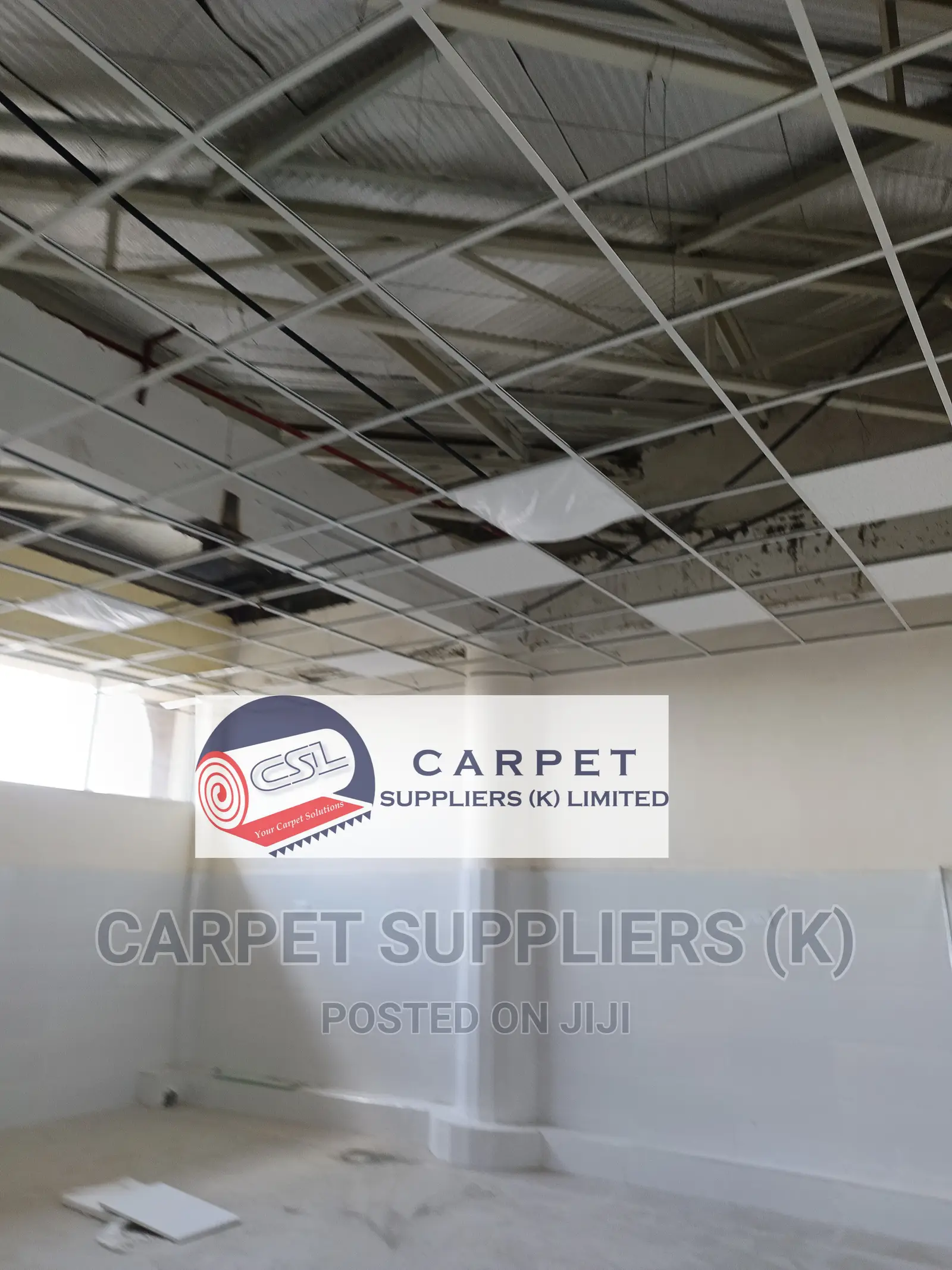 Acoustic Ceiling