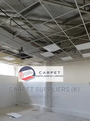 Acoustic Ceiling