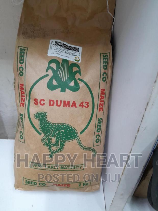 Duma 43 Hybrid Maize 2kg