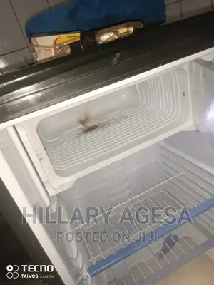 Fridge Freezer Leaking Repair