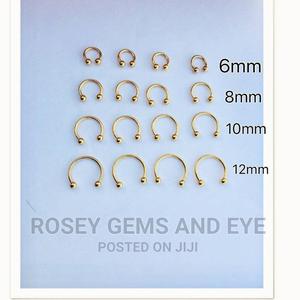 Nose Studs/ Septum Piercings - main view