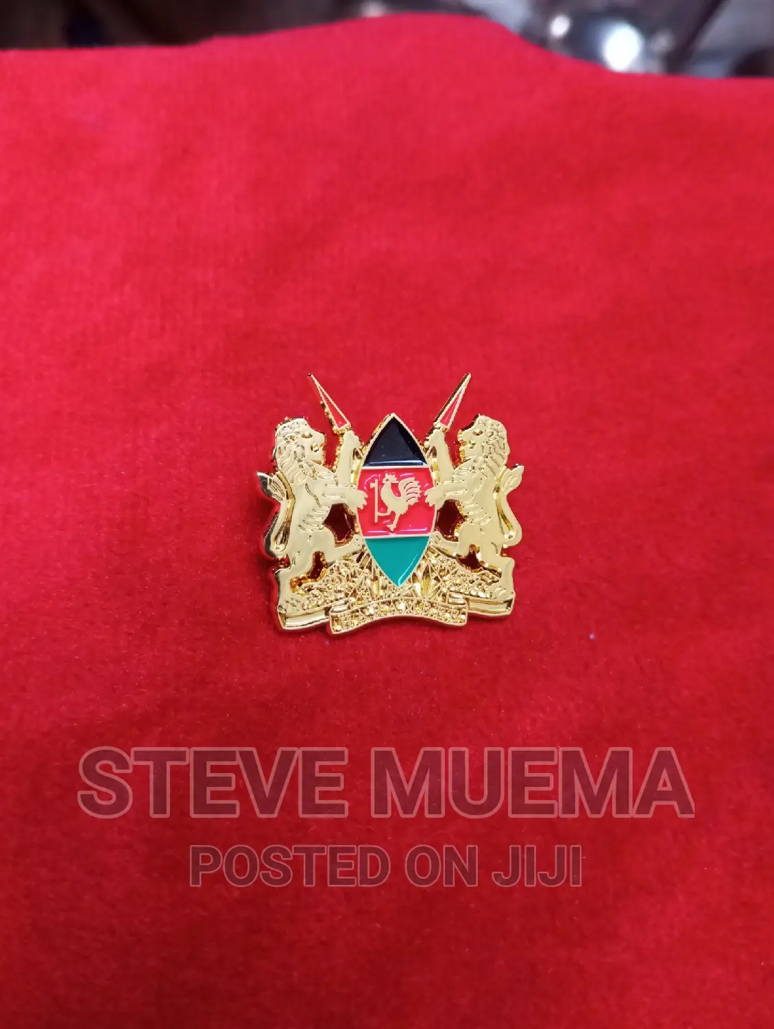 Coat of Arms Lapel Pin
