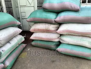 Seeds Boma Rhodes Seeds
