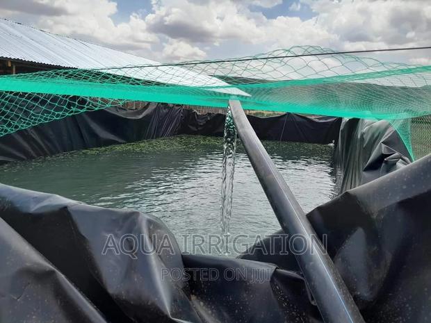 Damliners Different Gauges - thumbnail 2