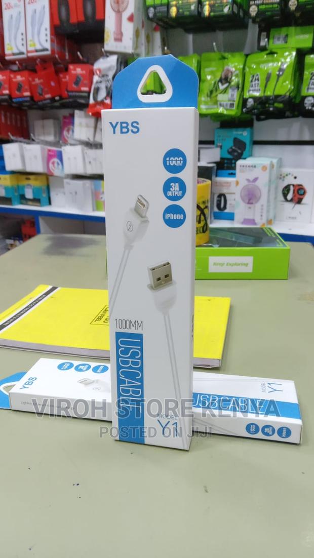 Y1 USB-A to iPhone Charging Cable - main view