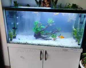 White New Aquarium With Stand, 4ft