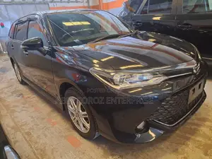 Toyota Corolla Fielder 2018 Black