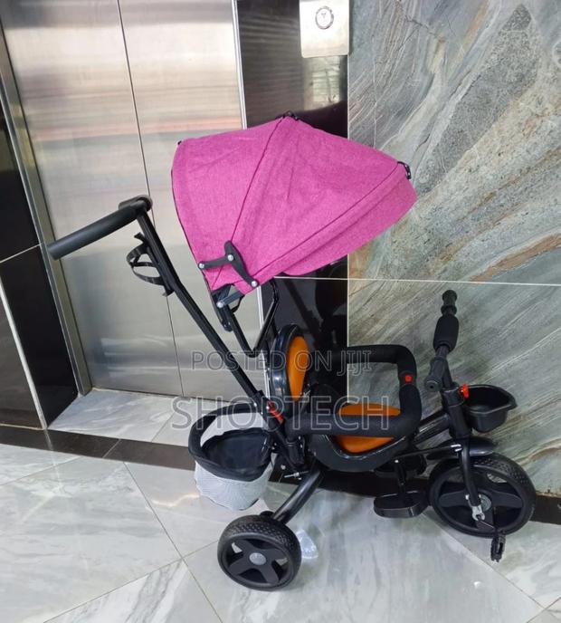 Push Tricycle With Parental Control/Canopy. - main view