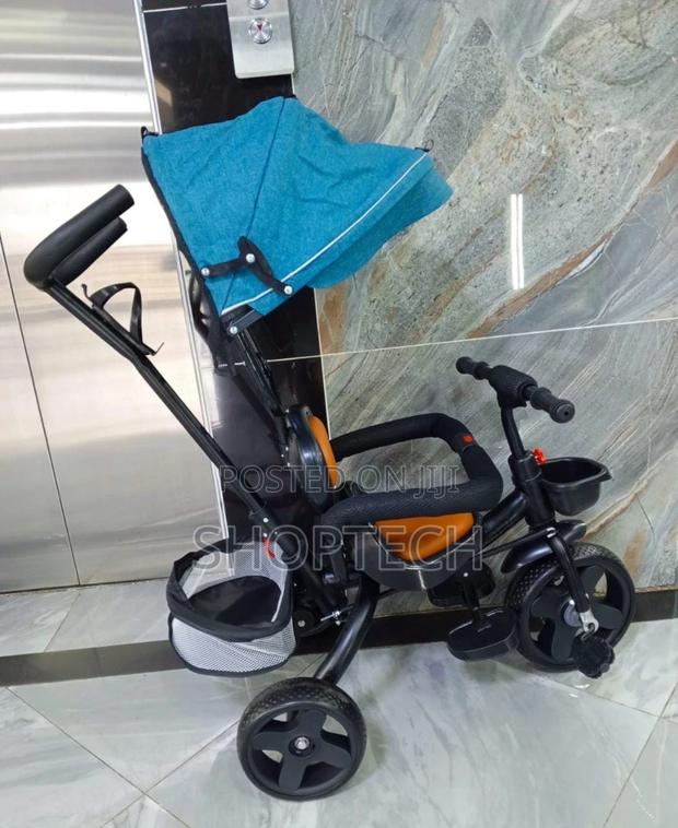 Push Tricycle With Parental Control/Canopy. - thumbnail 2