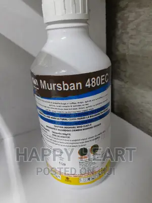 Mursban 480ec Insecticide and Termicide 1litre