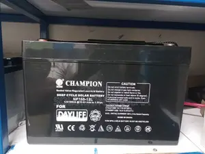 Champion 12v 100ah Deep Cycle Solar Battery