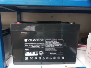 Champion 12v 100ah Deep Cycle Solar Battery