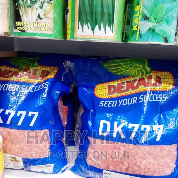 Dk 777 Dekalb Maize 2kg - thumbnail 2