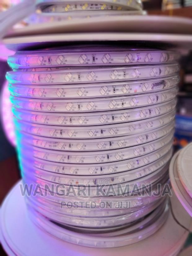 Snake Lights 100mtrs - main view