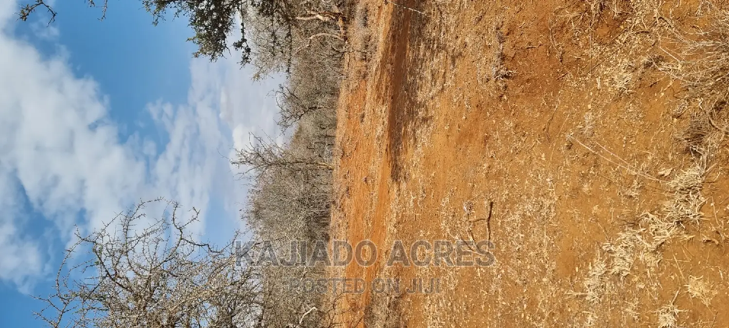 Prime 48 Acres Konza at 2.5m Per Acre